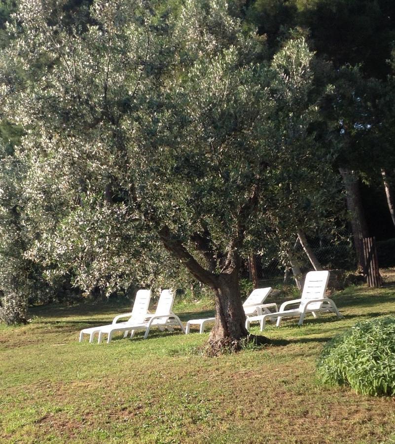 Agriturismo Podere Campalto Campiglia Marittima Exterior foto