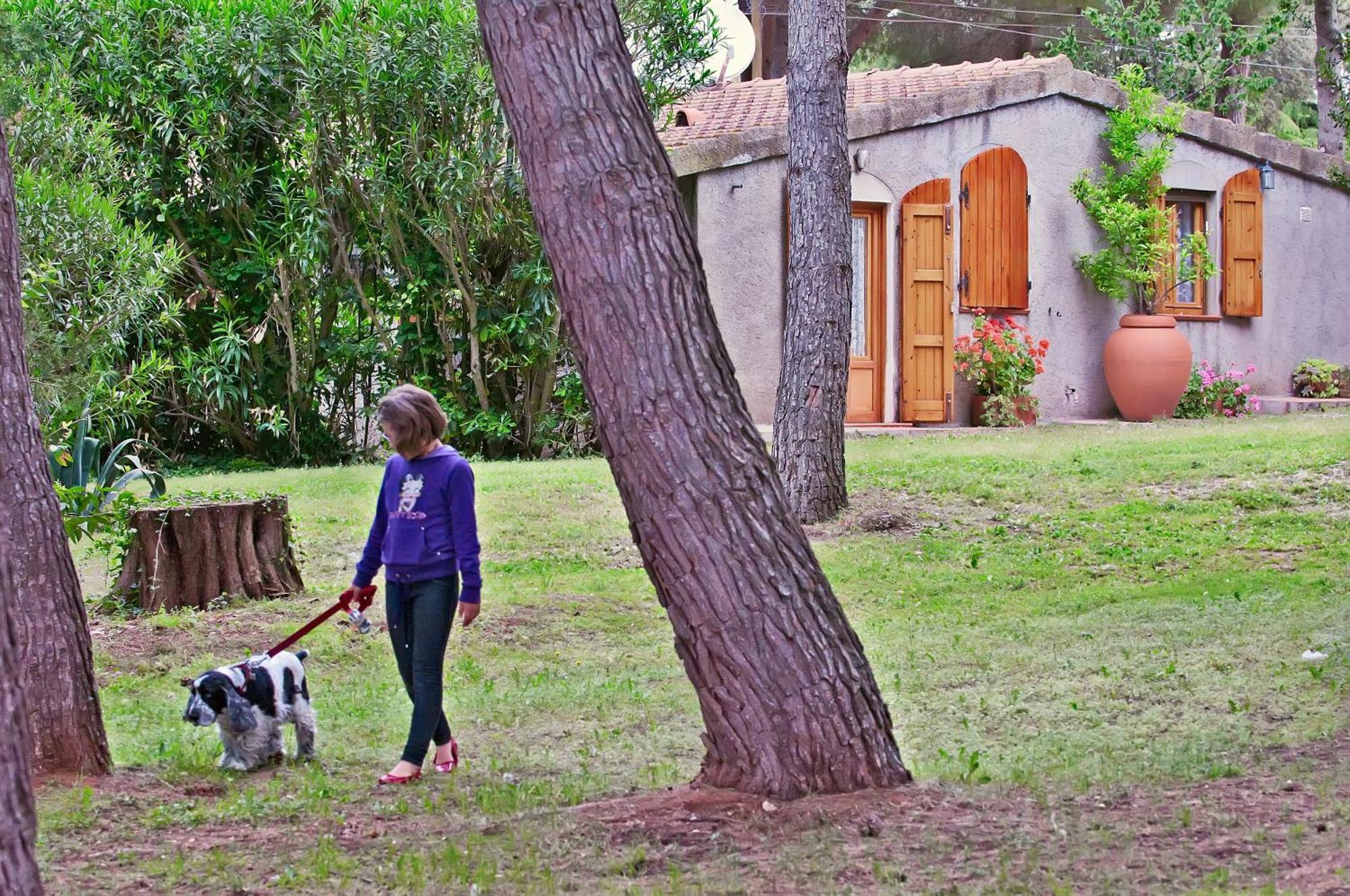 Agriturismo Podere Campalto Campiglia Marittima Quarto foto