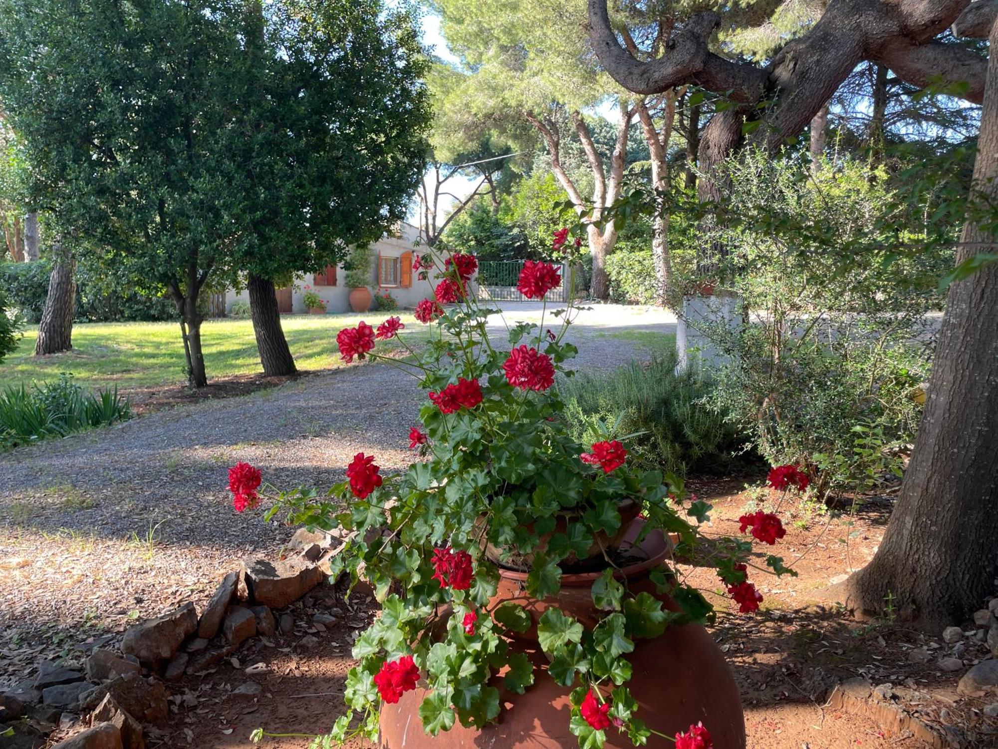 Agriturismo Podere Campalto Campiglia Marittima Exterior foto